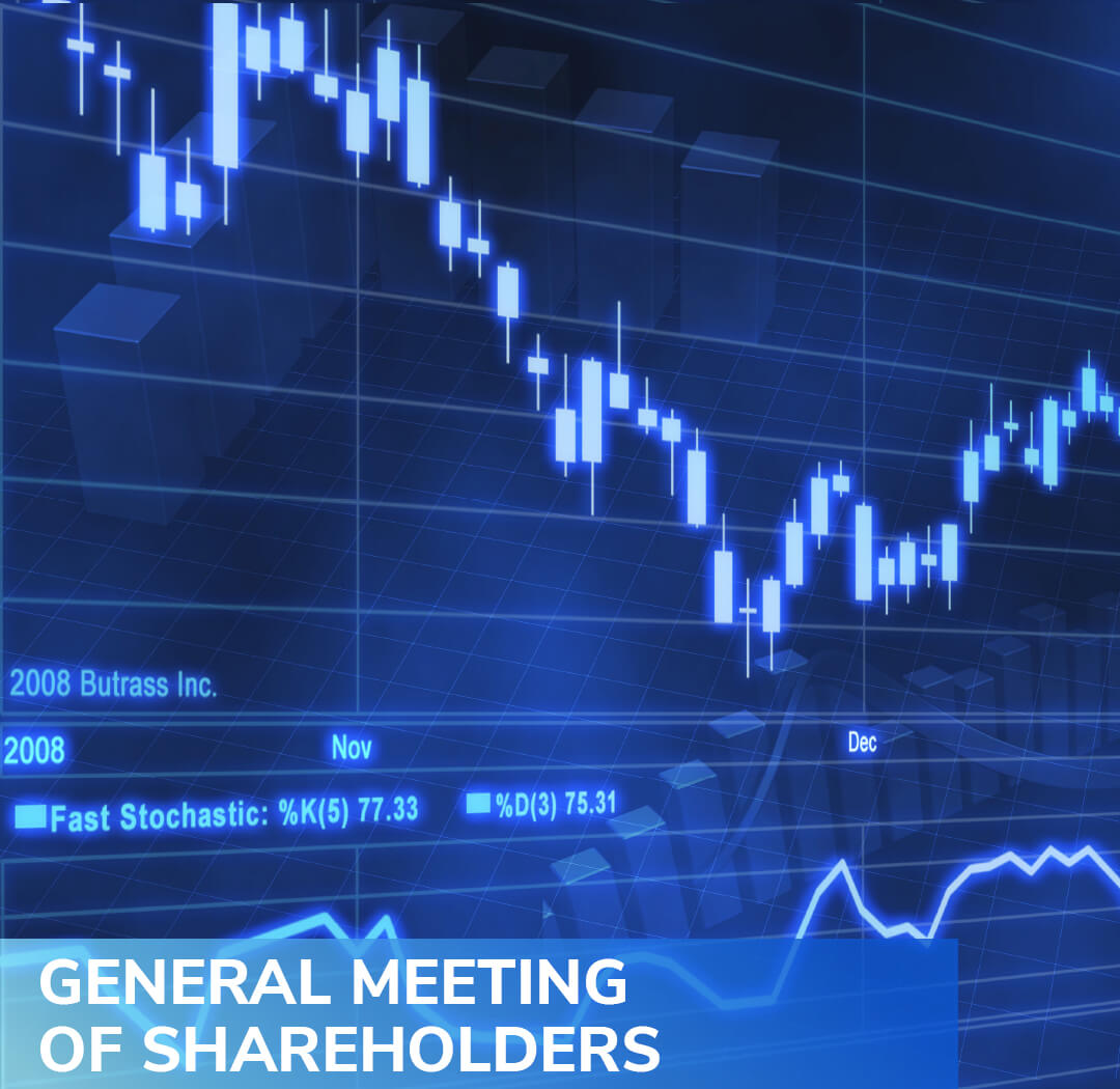 general meeting of shareholders
